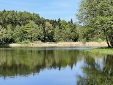 Yapay Trakoscan Gölü (Zagorje, Hırvatistan) - Die - Trakoscan oder kuenstlicher Trakoscansee (Kroatien) - Umjetno jezero ili Trakoscansko jezero (Hrvatsko zagorje, Hrvatska)