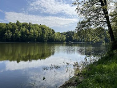 Yapay Trakoscan Gölü (Zagorje, Hırvatistan) - Die - Trakoscan oder kuenstlicher Trakoscansee (Kroatien) - Umjetno jezero ili Trakoscansko jezero (Hrvatsko zagorje, Hrvatska)