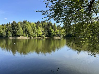 Yapay Trakoscan Gölü (Zagorje, Hırvatistan) - Die - Trakoscan oder kuenstlicher Trakoscansee (Kroatien) - Umjetno jezero ili Trakoscansko jezero (Hrvatsko zagorje, Hrvatska)