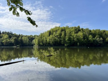 Yapay Trakoscan Gölü (Zagorje, Hırvatistan) - Die - Trakoscan oder kuenstlicher Trakoscansee (Kroatien) - Umjetno jezero ili Trakoscansko jezero (Hrvatsko zagorje, Hrvatska)