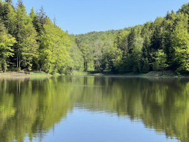 Yapay Trakoscan Gölü (Zagorje, Hırvatistan) - Die - Trakoscan oder kuenstlicher Trakoscansee (Kroatien) - Umjetno jezero ili Trakoscansko jezero (Hrvatsko zagorje, Hrvatska)