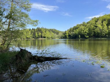Yapay Trakoscan Gölü (Zagorje, Hırvatistan) - Die - Trakoscan oder kuenstlicher Trakoscansee (Kroatien) - Umjetno jezero ili Trakoscansko jezero (Hrvatsko zagorje, Hrvatska)