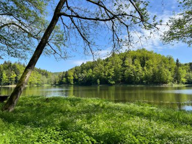 Yapay Trakoscan Gölü (Zagorje, Hırvatistan) - Die - Trakoscan oder kuenstlicher Trakoscansee (Kroatien) - Umjetno jezero ili Trakoscansko jezero (Hrvatsko zagorje, Hrvatska)