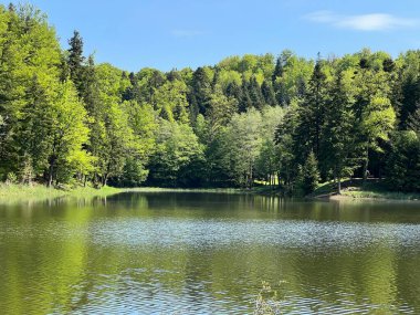 Yapay Trakoscan Gölü (Zagorje, Hırvatistan) - Die - Trakoscan oder kuenstlicher Trakoscansee (Kroatien) - Umjetno jezero ili Trakoscansko jezero (Hrvatsko zagorje, Hrvatska)