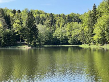 Yapay Trakoscan Gölü (Zagorje, Hırvatistan) - Die - Trakoscan oder kuenstlicher Trakoscansee (Kroatien) - Umjetno jezero ili Trakoscansko jezero (Hrvatsko zagorje, Hrvatska)