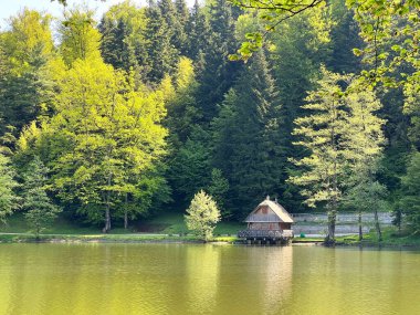 Yapay Trakoscan Gölü (Zagorje, Hırvatistan) - Die - Trakoscan oder kuenstlicher Trakoscansee (Kroatien) - Umjetno jezero ili Trakoscansko jezero (Hrvatsko zagorje, Hrvatska)