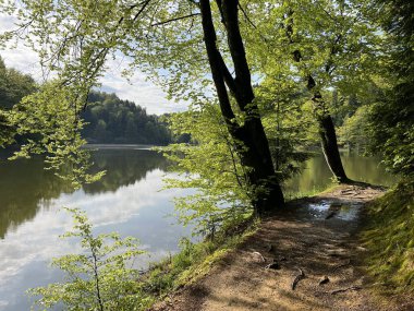 Trakoscan Gölü çevresindeki eğitim yolu 'Poucna staza' - Vila ili staze za setnju i rekreaciju oko Trakoscanskog jezera (Hrvatsko Zagorje, Hrvatska)