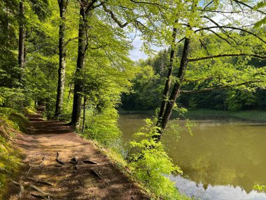 Trakoscan Gölü çevresindeki eğitim yolu 'Poucna staza' - Vila ili staze za setnju i rekreaciju oko Trakoscanskog jezera (Hrvatsko Zagorje, Hrvatska)