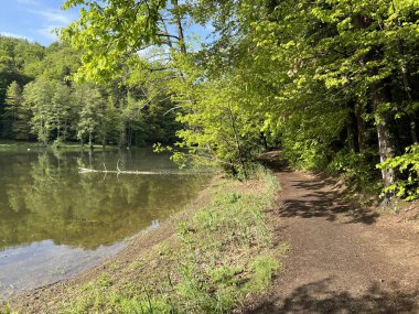 Trakoscan Gölü çevresindeki eğitim yolu 'Poucna staza' - Vila ili staze za setnju i rekreaciju oko Trakoscanskog jezera (Hrvatsko Zagorje, Hrvatska)