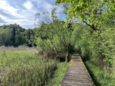 Trakoscan Gölü çevresindeki eğitim yolu 'Poucna staza' - Vila ili staze za setnju i rekreaciju oko Trakoscanskog jezera (Hrvatsko Zagorje, Hrvatska)