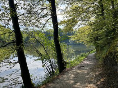 Trakoscan Gölü çevresindeki eğitim yolu 'Poucna staza' - Vila ili staze za setnju i rekreaciju oko Trakoscanskog jezera (Hrvatsko Zagorje, Hrvatska)
