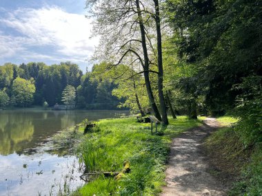 Trakoscan Gölü çevresindeki eğitim yolu 'Poucna staza' - Vila ili staze za setnju i rekreaciju oko Trakoscanskog jezera (Hrvatsko Zagorje, Hrvatska)