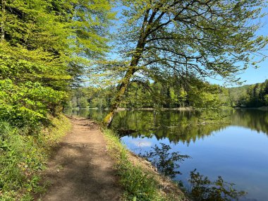 Trakoscan Gölü çevresindeki eğitim yolu 'Poucna staza' - Vila ili staze za setnju i rekreaciju oko Trakoscanskog jezera (Hrvatsko Zagorje, Hrvatska)