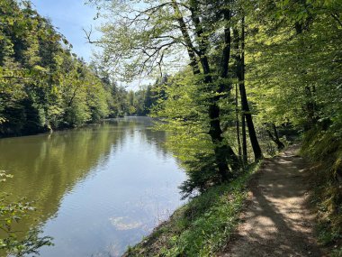 Trakoscan Gölü çevresindeki eğitim yolu 'Poucna staza' - Vila ili staze za setnju i rekreaciju oko Trakoscanskog jezera (Hrvatsko Zagorje, Hrvatska)