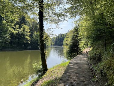 Trakoscan Gölü çevresindeki eğitim yolu 'Poucna staza' - Vila ili staze za setnju i rekreaciju oko Trakoscanskog jezera (Hrvatsko Zagorje, Hrvatska)