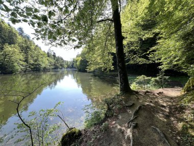 Trakoscan Gölü çevresindeki eğitim yolu 'Poucna staza' - Vila ili staze za setnju i rekreaciju oko Trakoscanskog jezera (Hrvatsko Zagorje, Hrvatska)