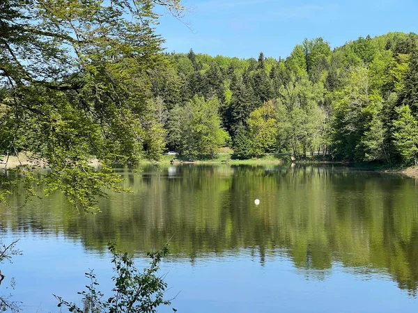 Yapay Trakoscan Gölü (Zagorje, Hırvatistan) - Die - Trakoscan oder kuenstlicher Trakoscansee (Kroatien) - Umjetno jezero ili Trakoscansko jezero (Hrvatsko zagorje, Hrvatska)