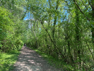 Jarun Gölü (Hırvatistan) - Rekreacijsko spor centar Jarun ili staze za setnju i trcanje oko sportsko-rekreacijskog centra Jarunsko jezero (Zagreb, Hrvatska)