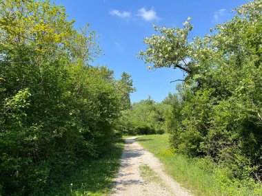 Jarun Gölü (Hırvatistan) - Rekreacijsko spor centar Jarun ili staze za setnju i trcanje oko sportsko-rekreacijskog centra Jarunsko jezero (Zagreb, Hrvatska)