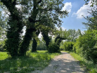Jarun Gölü (Hırvatistan) - Rekreacijsko spor centar Jarun ili staze za setnju i trcanje oko sportsko-rekreacijskog centra Jarunsko jezero (Zagreb, Hrvatska)