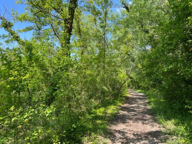 Jarun Gölü (Hırvatistan) - Rekreacijsko spor centar Jarun ili staze za setnju i trcanje oko sportsko-rekreacijskog centra Jarunsko jezero (Zagreb, Hrvatska)
