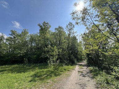 Jarun Gölü (Hırvatistan) - Rekreacijsko spor centar Jarun ili staze za setnju i trcanje oko sportsko-rekreacijskog centra Jarunsko jezero (Zagreb, Hrvatska)