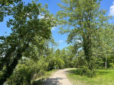 Jarun Gölü (Hırvatistan) - Rekreacijsko spor centar Jarun ili staze za setnju i trcanje oko sportsko-rekreacijskog centra Jarunsko jezero (Zagreb, Hrvatska)