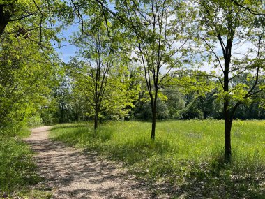 Jarun Gölü (Hırvatistan) - Rekreacijsko spor centar Jarun ili staze za setnju i trcanje oko sportsko-rekreacijskog centra Jarunsko jezero (Zagreb, Hrvatska)