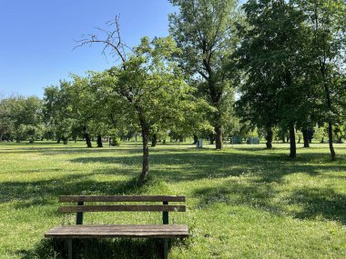 Zagreb 'deki Jarun Gölü' nün yanındaki orman veya Jarun Gölü (Zagreb, Hırvatistan) çevresindeki park - Park-suma uz zagrebacko Jarunsko jezero ili perivoj oko jezera Jarun (Zagreb, Hrvatska)
