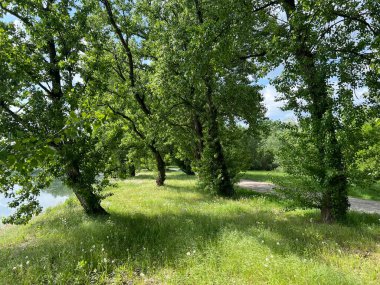 Yapay Oresje Gölü (Zagreb İlçesi, Hırvatistan) etrafında yürüyüş ve dinlenme yolları - Staze za setnju i rekreaciju oko umjetnog jezera Oresje (Sveta Nedelja, Hrvatska, Hrvatska)