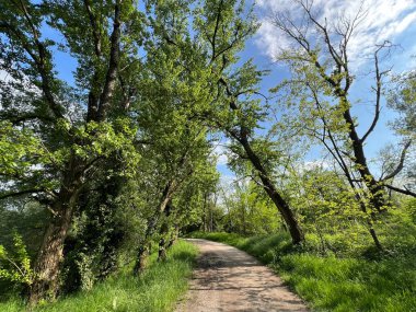 Yapay Oresje Gölü (Zagreb İlçesi, Hırvatistan) etrafında yürüyüş ve dinlenme yolları - Staze za setnju i rekreaciju oko umjetnog jezera Oresje (Sveta Nedelja, Hrvatska, Hrvatska)