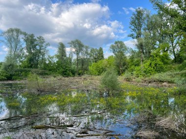 Özel kuşbilimi rezervi Sava - Strmec ve Hırvatistan 'ın Strmec ve balıkçılık alanı - Posebni ornitoloski rezervat Sava Strmec i ribolovna zona jezera Strmec (Sveta Nedelja, Hrvatska)