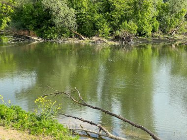Özel kuşbilimi rezervi Sava - Strmec ve Hırvatistan 'ın Strmec ve balıkçılık alanı - Posebni ornitoloski rezervat Sava Strmec i ribolovna zona jezera Strmec (Sveta Nedelja, Hrvatska)