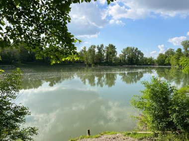 Özel kuşbilimi rezervi Sava - Strmec ve Hırvatistan 'ın Strmec ve balıkçılık alanı - Posebni ornitoloski rezervat Sava Strmec i ribolovna zona jezera Strmec (Sveta Nedelja, Hrvatska)