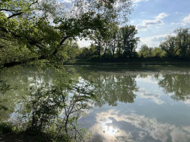 Özel kuşbilimi rezervi Sava - Strmec ve Hırvatistan 'ın Strmec ve balıkçılık alanı - Posebni ornitoloski rezervat Sava Strmec i ribolovna zona jezera Strmec (Sveta Nedelja, Hrvatska)