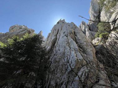 Katı doğa koruma alanı Beyaz kayalar (Hırvatistan) - Strenges Naturschutzgebiet Bijele Stijene (Kroatien) - Strogi rezervat Bijele stijene, Ogulin (Gorski kotar, Hrvatska))