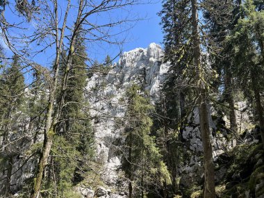 Katı doğa koruma alanı Beyaz kayalar (Hırvatistan) - Strenges Naturschutzgebiet Bijele Stijene (Kroatien) - Strogi rezervat Bijele stijene, Ogulin (Gorski kotar, Hrvatska))