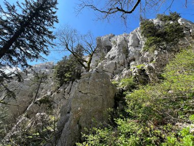 Katı doğa koruma alanı Beyaz kayalar (Hırvatistan) - Strenges Naturschutzgebiet Bijele Stijene (Kroatien) - Strogi rezervat Bijele stijene, Ogulin (Gorski kotar, Hrvatska))