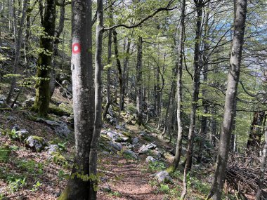Velebit (Hırvatistan) - Planinarske markacije i staze na Velebitu (Strogi rezervat Bijele stijene, Hrvatska)