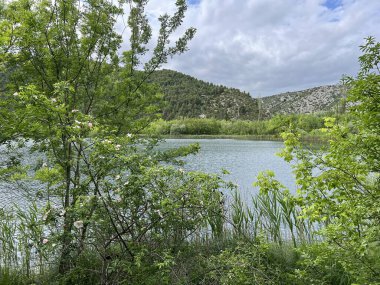 Torak bahar gölü veya Cikola Nehri (Brnjica, Hırvatistan) - Izvorisno jezero Torak ili vrelo Torak uz rijeku Cikolu (Brnjica, Hrvatska)