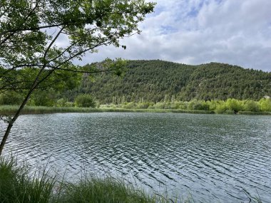 Torak bahar gölü veya Cikola Nehri (Brnjica, Hırvatistan) - Izvorisno jezero Torak ili vrelo Torak uz rijeku Cikolu (Brnjica, Hrvatska)