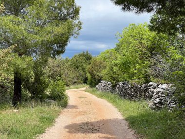 Cikola Nehri boyunca yürüyüş yolları (Cikola Su Parkı ve Kanyonu 'nun önemli manzarası, Hırvatistan) - Pjesacke staze uz rijeku Cikolu (Znacajni krajobraz Vodeni tok i kanjon Cikole)