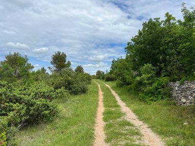 Cikola Nehri boyunca yürüyüş yolları (Cikola Su Parkı ve Kanyonu 'nun önemli manzarası, Hırvatistan) - Pjesacke staze uz rijeku Cikolu (Znacajni krajobraz Vodeni tok i kanjon Cikole, Hrvatska)