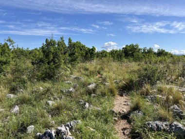 Cikola Nehri boyunca yürüyüş yolları (Cikola Su Parkı ve Kanyonu 'nun önemli manzarası, Hırvatistan) - Pjesacke staze uz rijeku Cikolu (Znacajni krajobraz Vodeni tok i kanjon Cikole, Hrvatska)