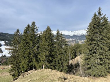 İsviçre Alpleri ve UNESCO Biyosfer Entlebuch, İsviçre - Immergruener Nadelwald und Almwiesen