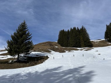 İsviçre Alpleri ve UNESCO Biyosfer Entlebuch, İsviçre - Immergruener Nadelwald und Almwiesen