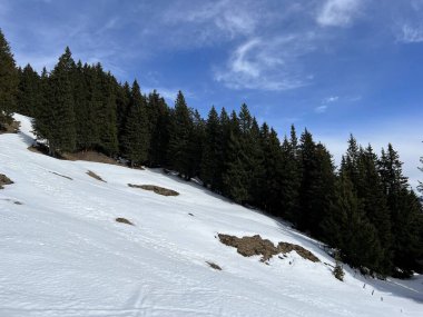 İsviçre Alpleri ve UNESCO Biyosfer Entlebuch, İsviçre - Immergruener Nadelwald und Almwiesen