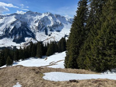 İsviçre Alpleri ve UNESCO Biyosfer Entlebuch, İsviçre - Immergruener Nadelwald und Almwiesen