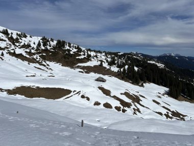 İsviçre Alpleri ve UNESCO Biyosfer Entlebuch, İsviçre - Immergruener Nadelwald und Almwiesen