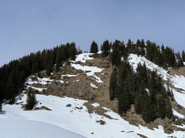 İsviçre Alpleri ve UNESCO Biyosfer Entlebuch, İsviçre - Immergruener Nadelwald und Almwiesen